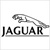 diagnosis_jaguar